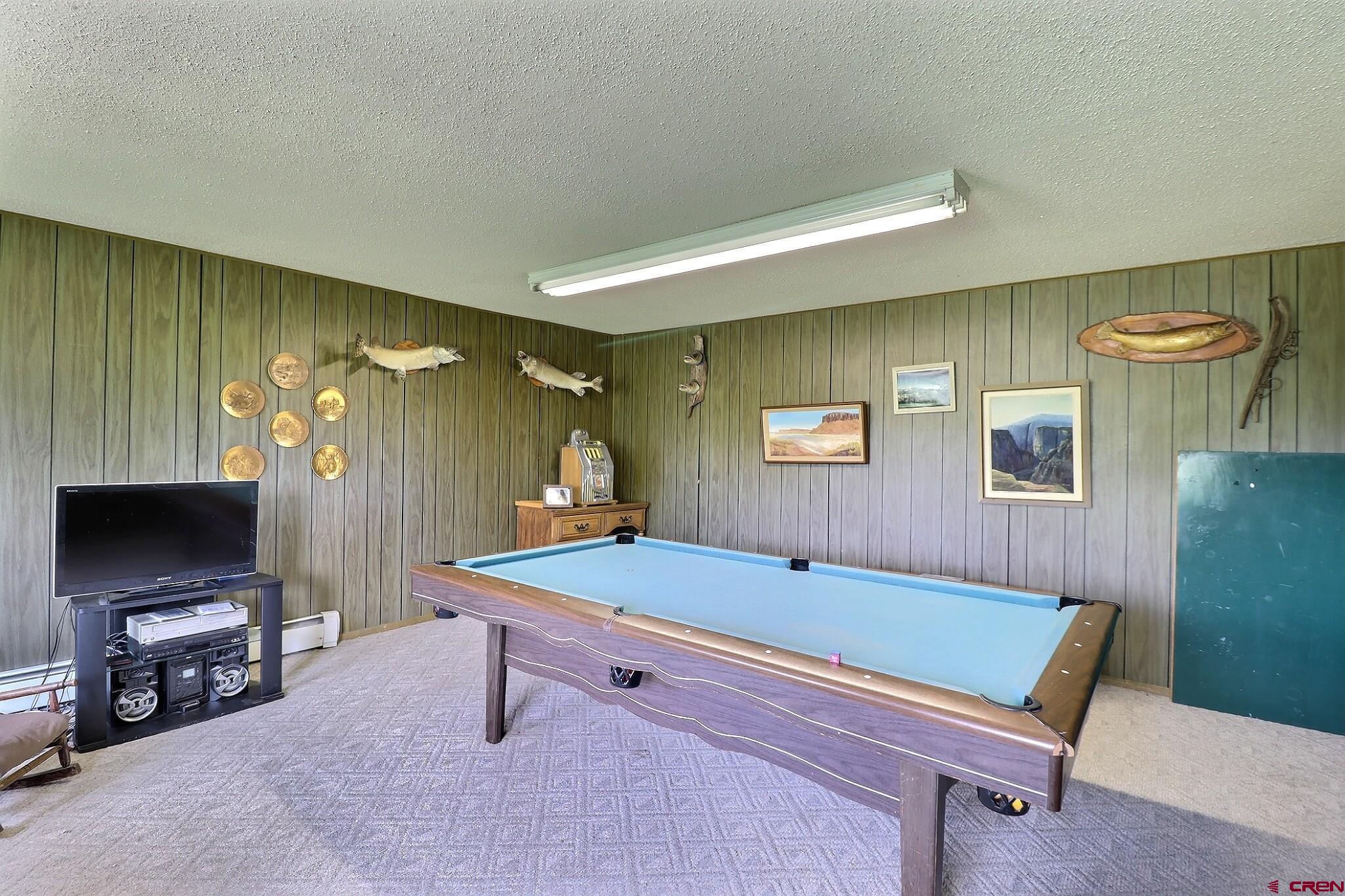 39389 Pitkin Road Paonia, CO 81428 - Photo 22 of 34 There's more to the family room than a pool table