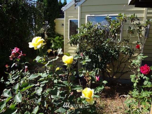 514 Ten Mile Road Lynden, WA 98264 - Photo 6 of 11