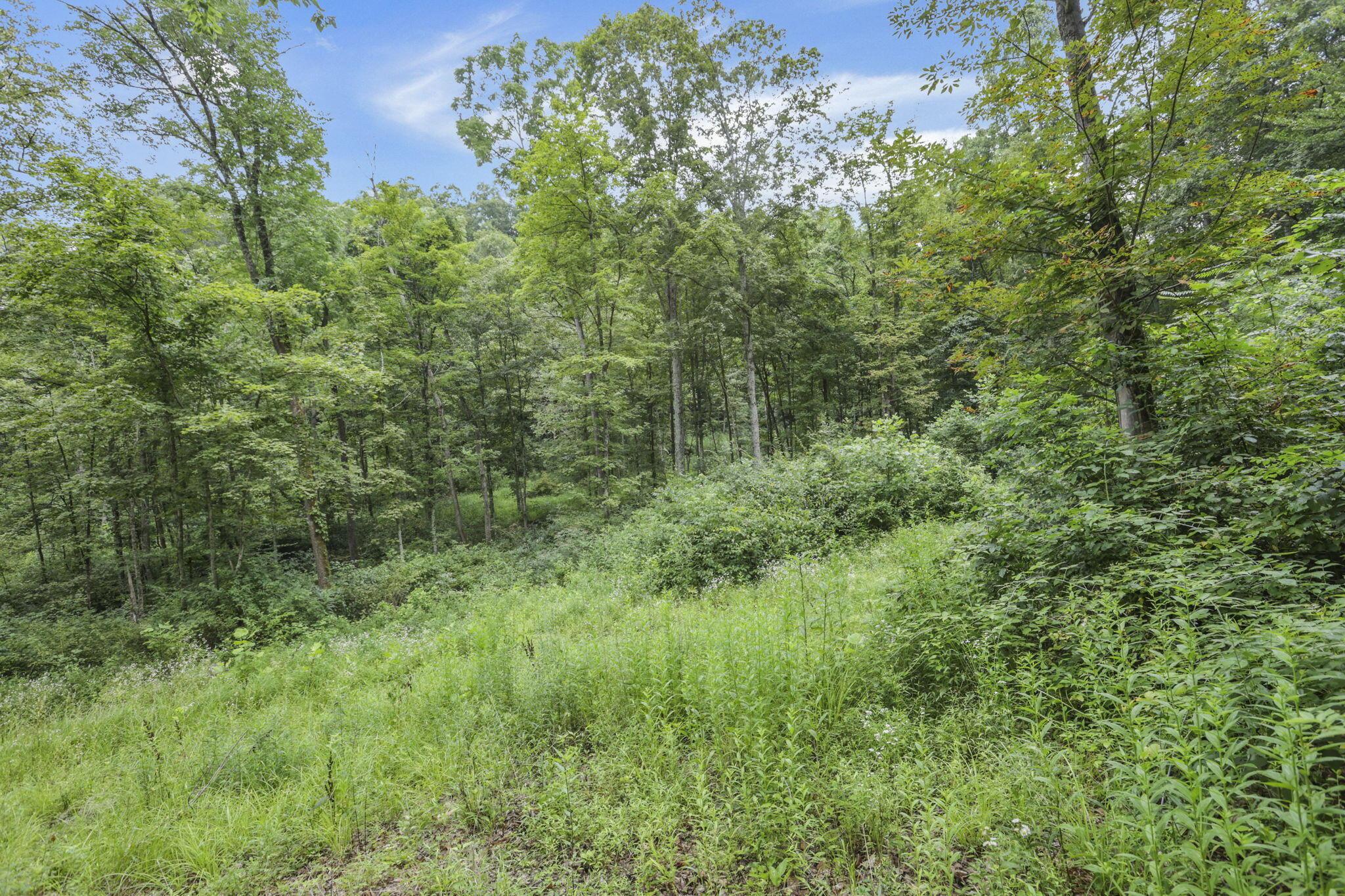 0 Greens Run Road Glouster, OH 45732 - Photo 117 of 121 117-web-or-mls-LO5A2129