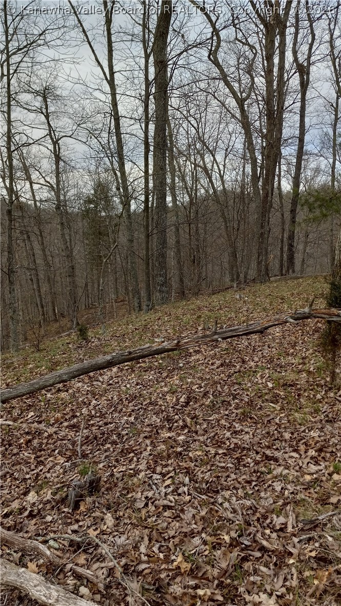 0 Rheva Lane Leon, WV 25123 - Photo 12 of 13 Gallery Image 12