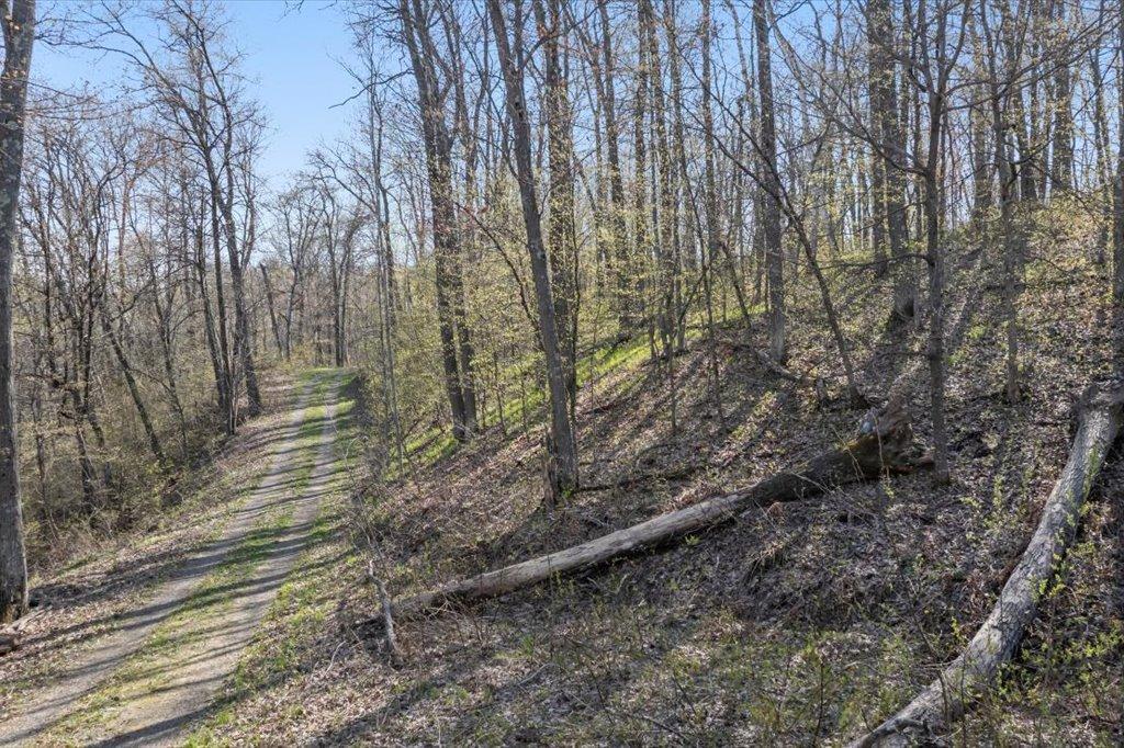 9382 County Road 8 Brainerd, MN 56401 - Photo 72 of 108
