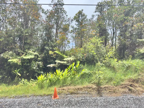 $38,000 | 43 Jungle King Avenue, Mountain View, HI 96771