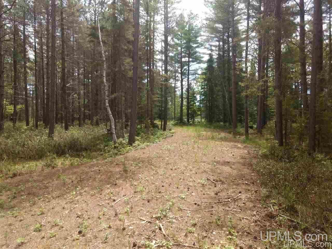 Tbd Rice Landing Road, Unit 13 Lake Linden, MI 49945 - Photo 2 of 35