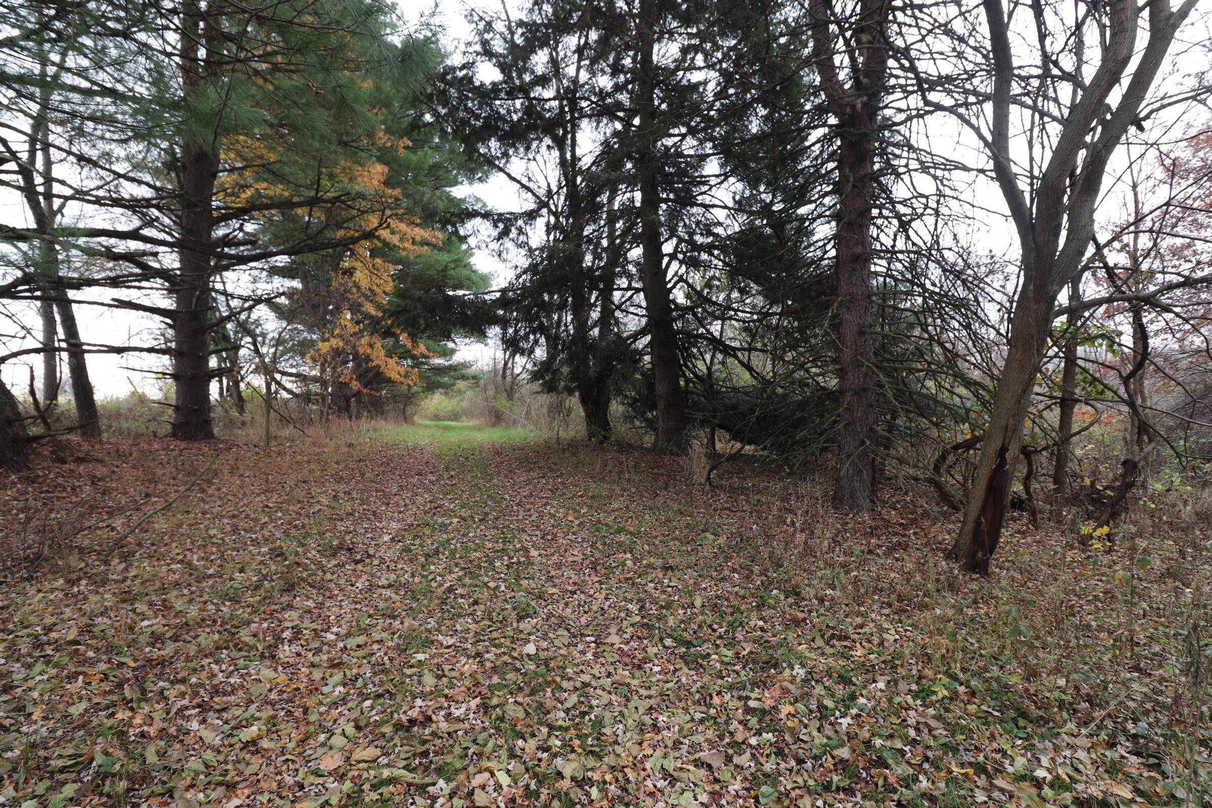6551 Lock Road Centerburg, OH 43011 - Photo 14 of 20 IMG_1580