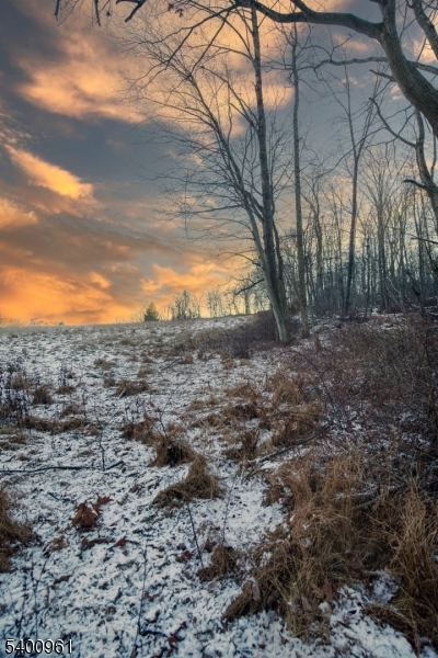 11 Logan Drive Califon, NJ 07830 - Photo 13 of 18 a view of a yard