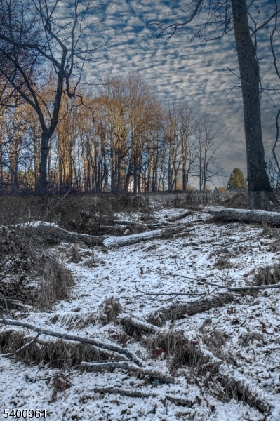 11 Logan Drive Califon, NJ 07830 - Photo 14 of 18 a view of a yard with trees
