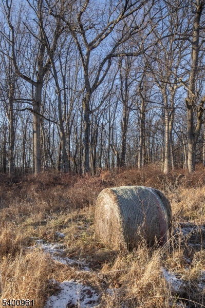 11 Logan Drive Califon, NJ 07830 - Photo 15 of 18 a view of outdoor space and yard