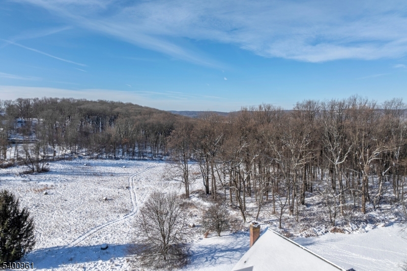 11 Logan Drive Califon, NJ 07830 - Photo 16 of 18 a view of a yard with mountain view