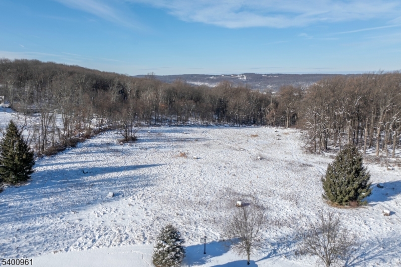 11 Logan Drive Califon, NJ 07830 - Photo 17 of 18 a view of a dry yard with mountain