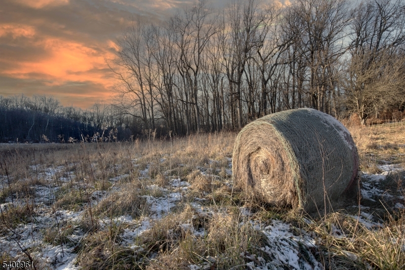 11 Logan Drive Califon, NJ 07830 - Photo 6 of 18 a view of backyard with green space