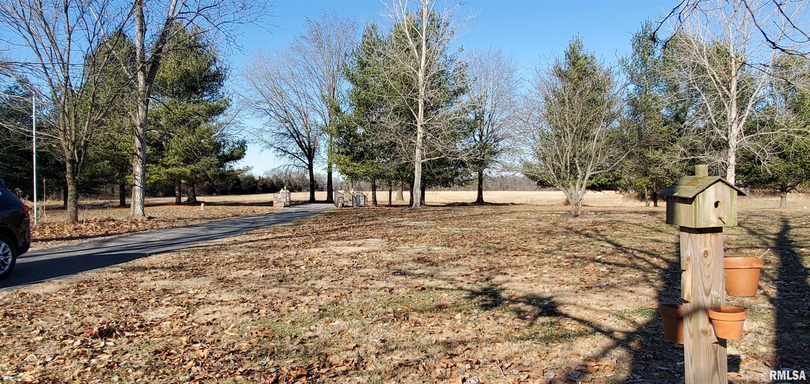 5614 Canary Road Pinckneyville, IL 62274 - Photo 9 of 39