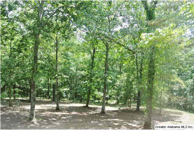 1435 Woodland Ridge Road Odenville, AL 35120 - Photo 26 of 32