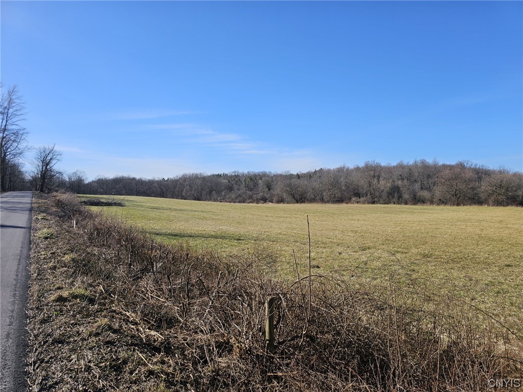 Lot 6 Ryan Road Oswego, NY 13126 - Photo 5 of 6 Gallery Image 5