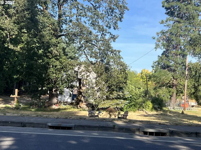 a view of a yard and street view