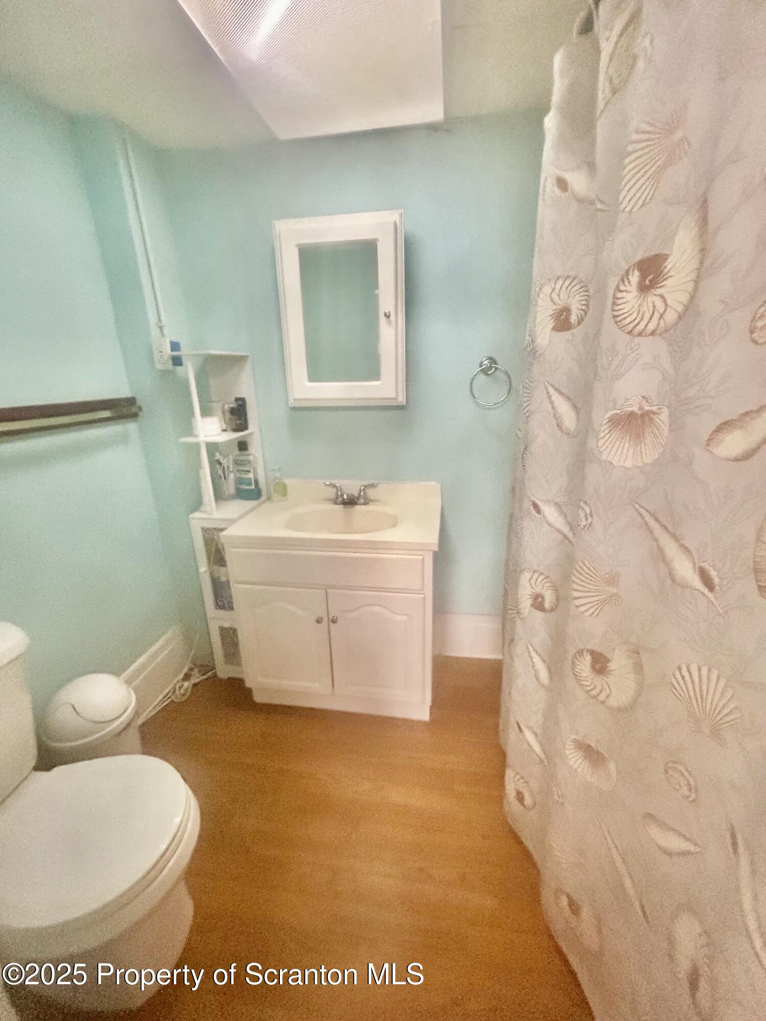 536 Old Rte 11 New Milford, PA 18834 - Photo 29 of 36 a bathroom with a sink a toilet and a mirror