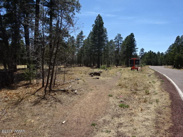 2419 Homestead Road Lakeside, AZ 85929 - Photo 2 of 6 Gallery Image 2
