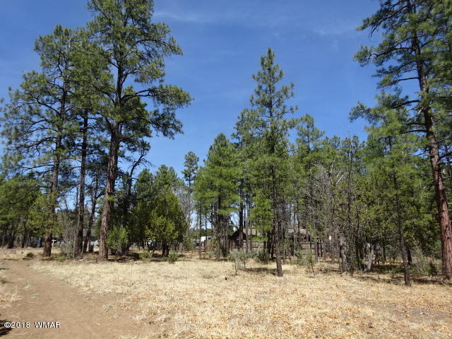 2419 Homestead Road Lakeside, AZ 85929 - Photo 4 of 6 Gallery Image 4