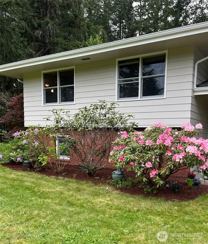 a view of a backyard with plants and large trees
