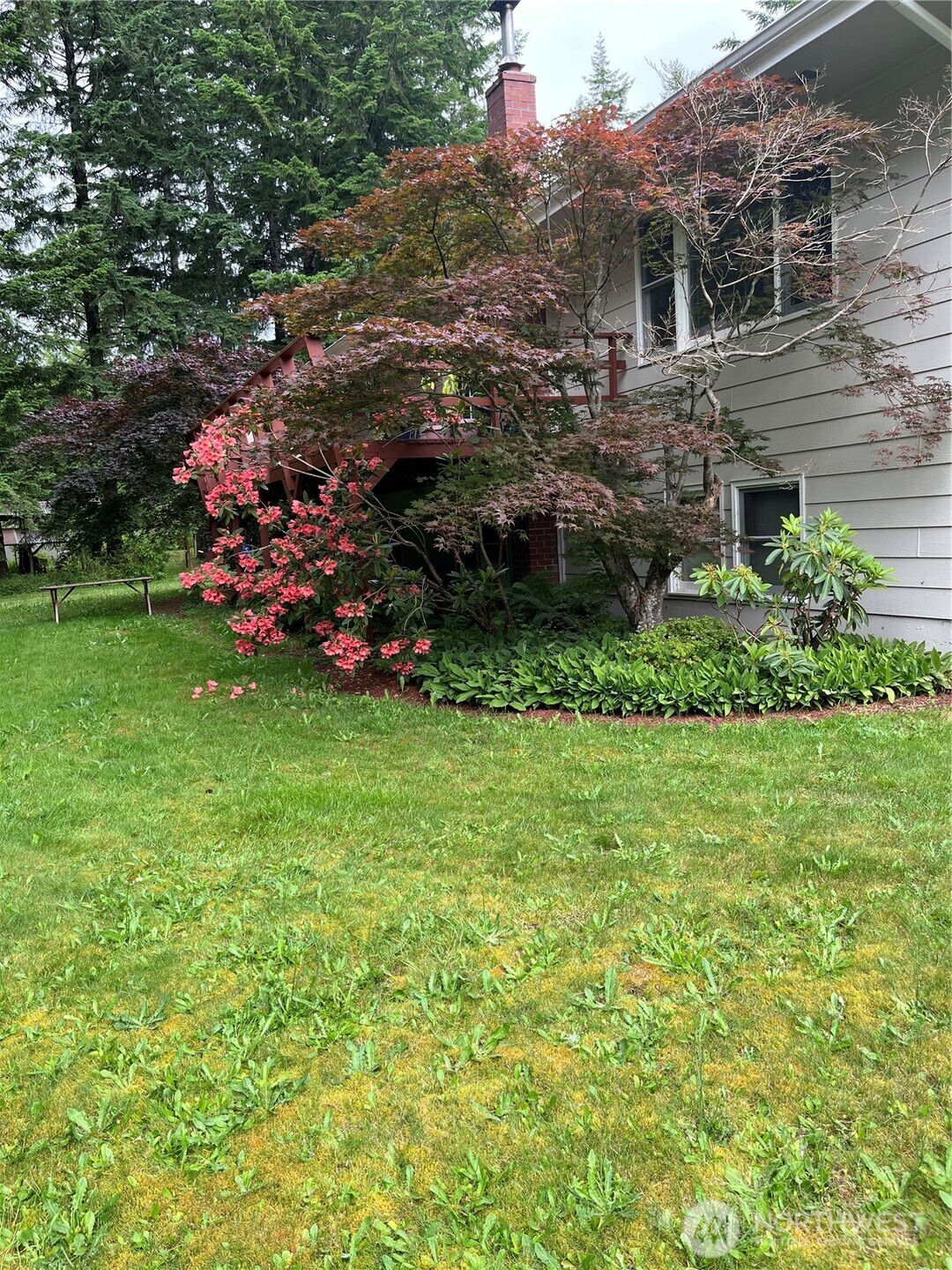 293154 Highway 101 Quilcene, WA 98376 - Photo 39 of 40 a view of a backyard with plants and large trees
