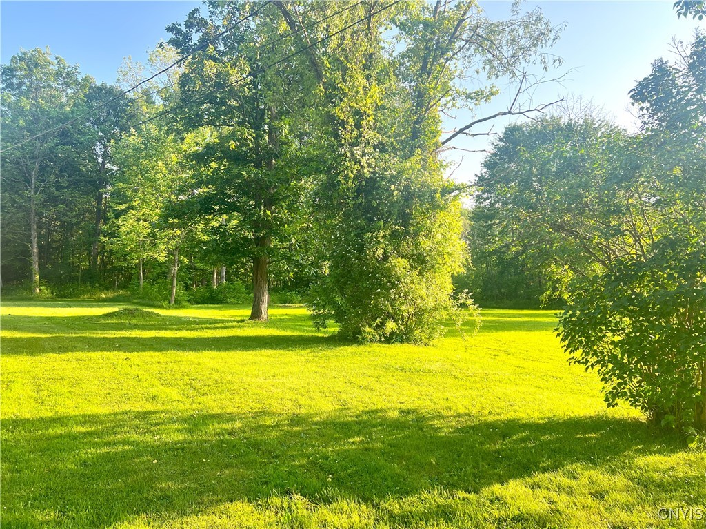 193 Gildner Road Central Square, NY 13036 - Photo 28 of 28