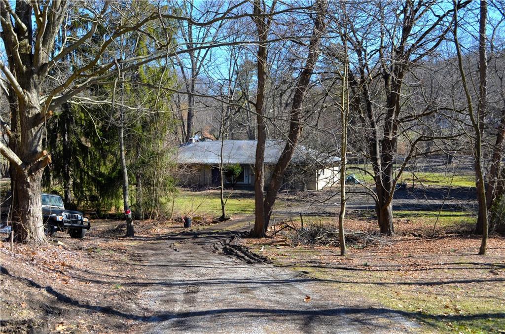 a view of a park with tree s