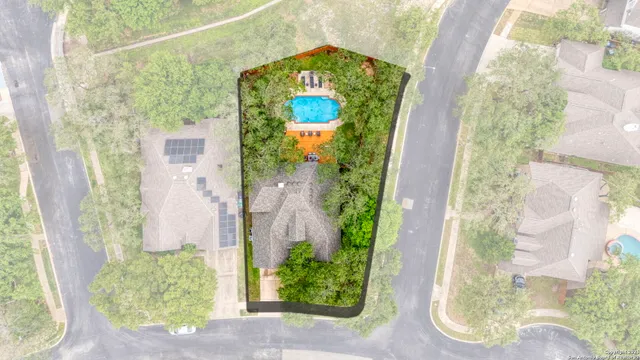 view of a potted plants in front of door