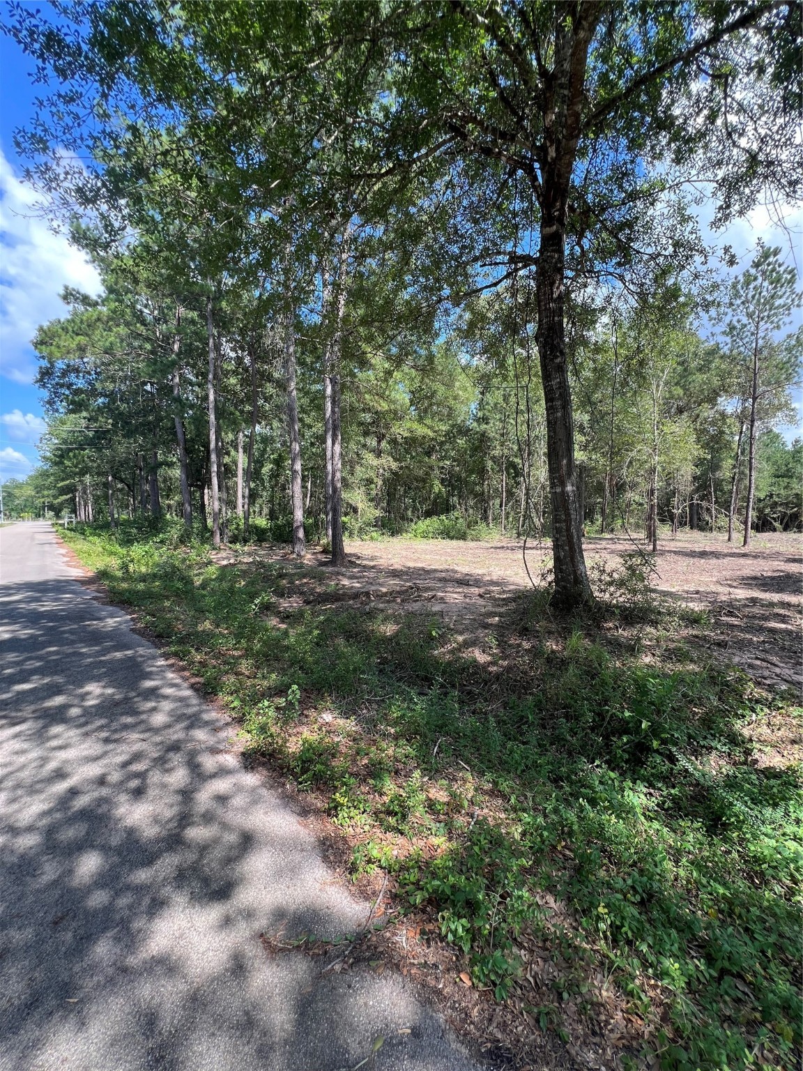 Tbd Lot 3 Tbd Drive Plantersville, TX 77363 - Photo 2 of 6 a big yard with lots of green space and trees