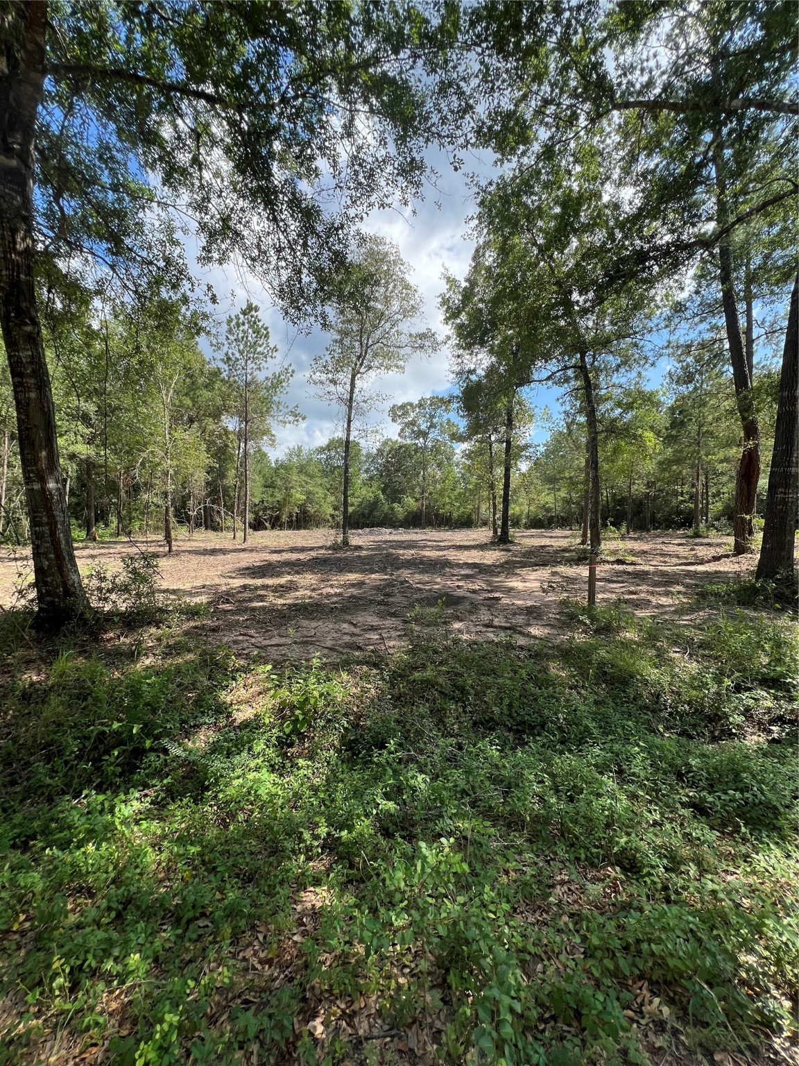 Tbd Lot 3 Tbd Drive Plantersville, TX 77363 - Photo 4 of 6 a view of park space with trees