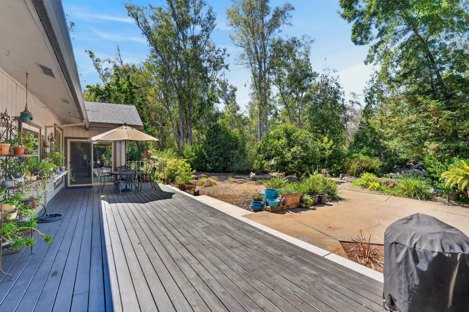 13491 Borden Road Herald, CA 95638 - Photo 34 of 49 Gallery Image 34
