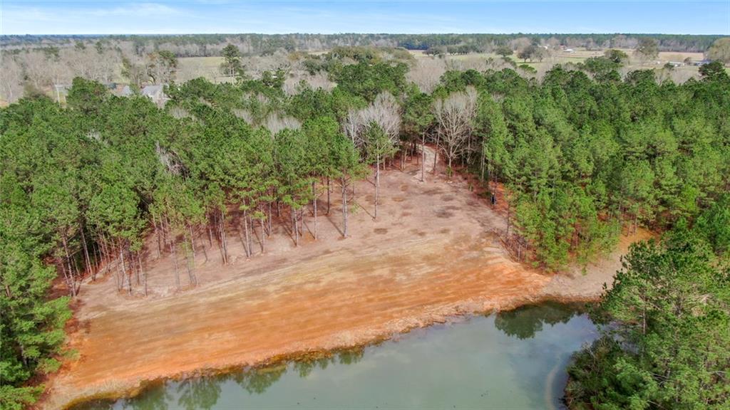 0 Fauntleroy Cemetery Road Bush, LA 70431 - Photo 12 of 17 Gallery Image 12