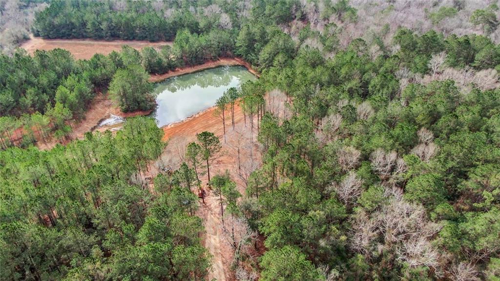 0 Fauntleroy Cemetery Road Bush, LA 70431 - Photo 15 of 17 Gallery Image 15