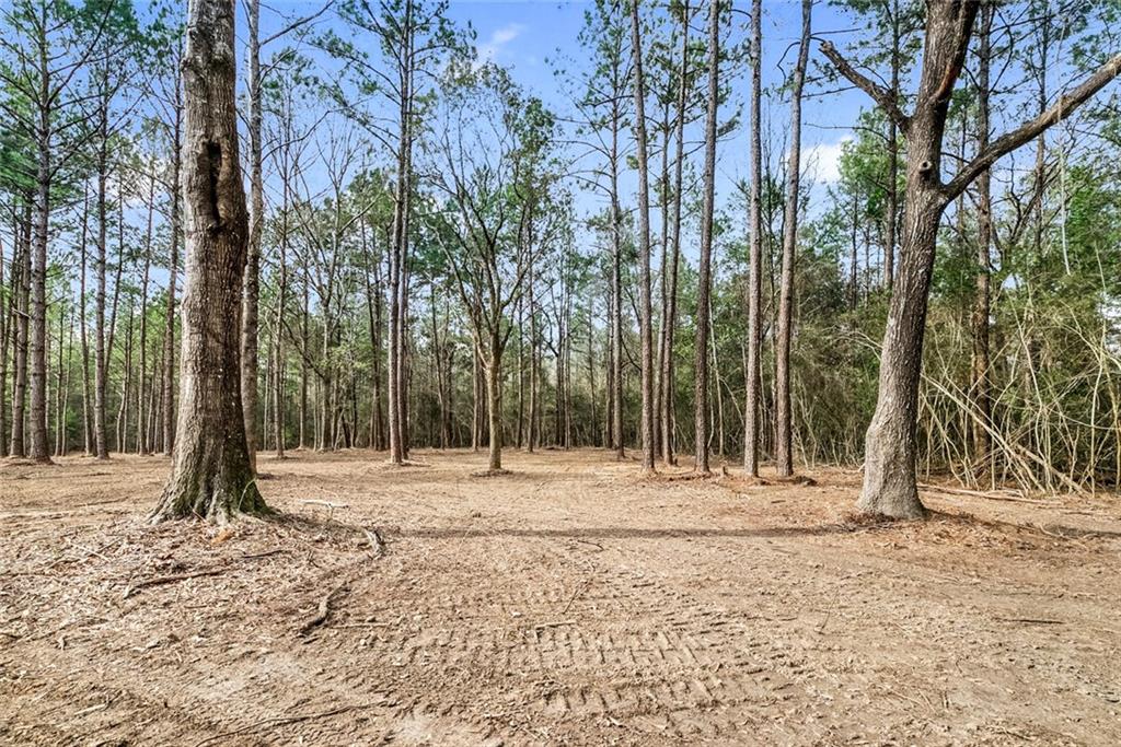 0 Fauntleroy Cemetery Road Bush, LA 70431 - Photo 3 of 17 Gallery Image 3
