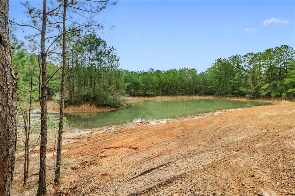 0 Fauntleroy Cemetery Road Bush, LA 70431 - Photo 6 of 17 Gallery Image 6