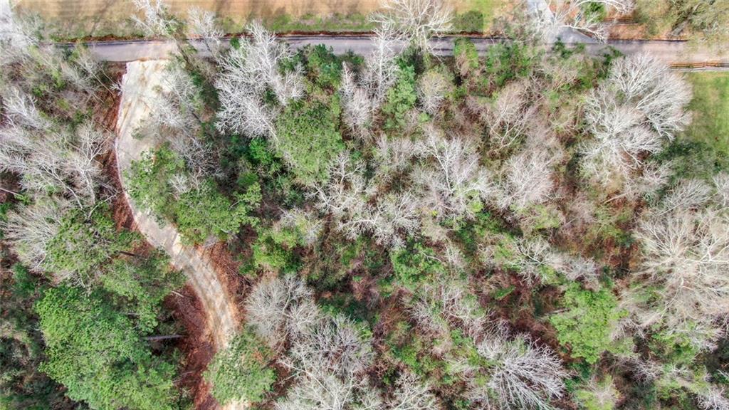 0 Fauntleroy Cemetery Road Bush, LA 70431 - Photo 7 of 17 Gallery Image 7