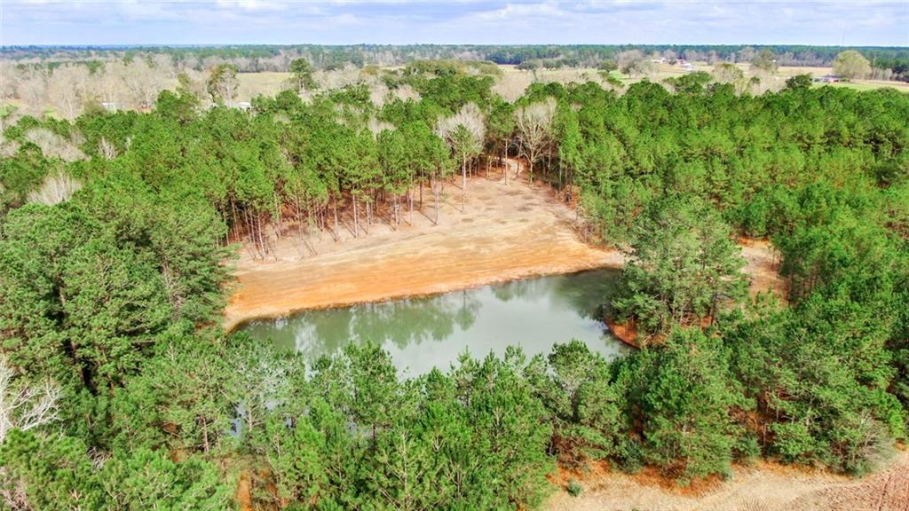 0 Fauntleroy Cemetery Road Bush, LA 70431 - Photo 8 of 17 Gallery Image 8