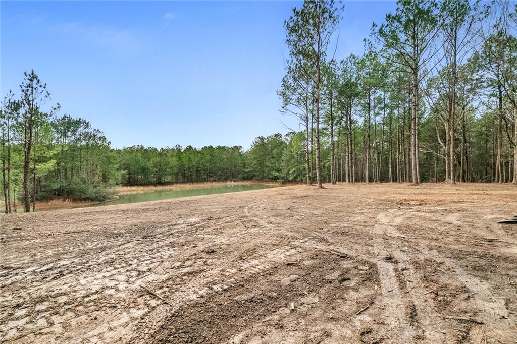 0 Fauntleroy Cemetery Road Bush, LA 70431 - Photo 9 of 17 Gallery Image 9