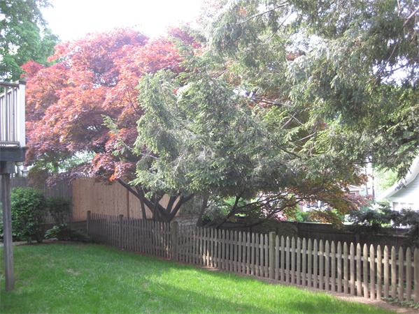 43 Shirley Road Waltham, MA 02452 - Photo 11 of 14 Gallery Image 11