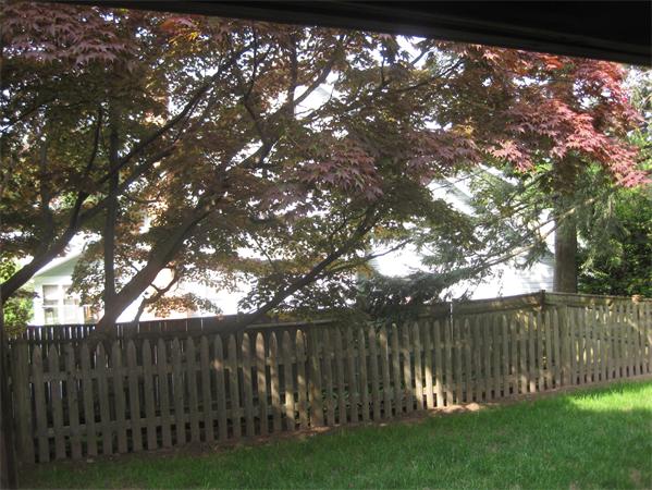 43 Shirley Road Waltham, MA 02452 - Photo 12 of 14 Gallery Image 12