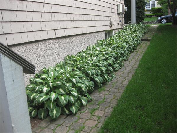 43 Shirley Road Waltham, MA 02452 - Photo 13 of 14 Gallery Image 13