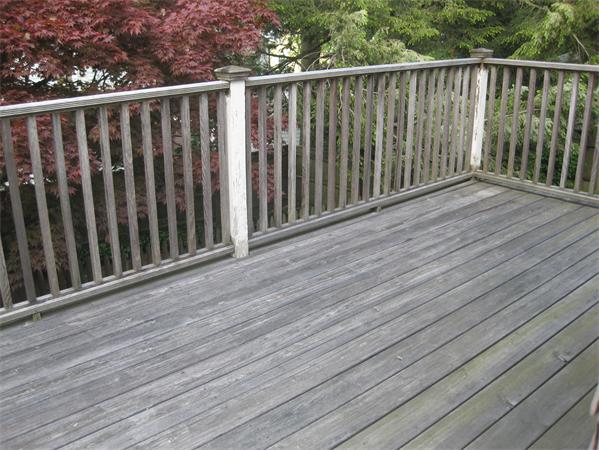 43 Shirley Road Waltham, MA 02452 - Photo 10 of 14 Gallery Image 10