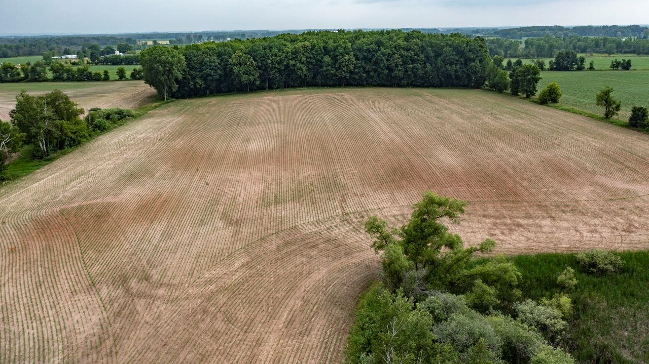 Pleasant View Road Bear Creek, WI 54922 - Photo 9 of 20
