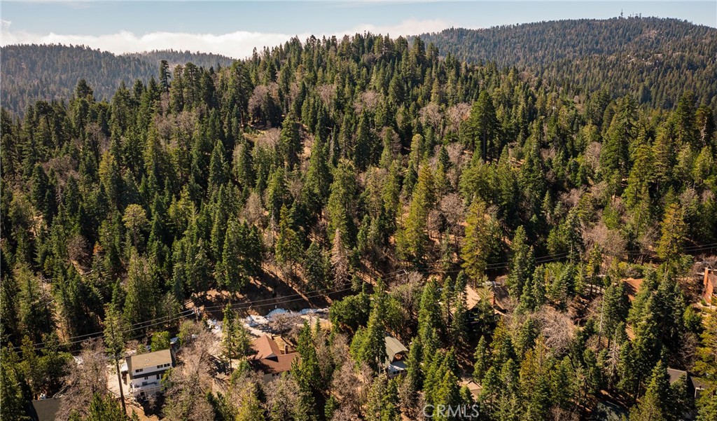26980 Everest Road Lake Arrowhead, CA 92391 - Photo 41 of 49