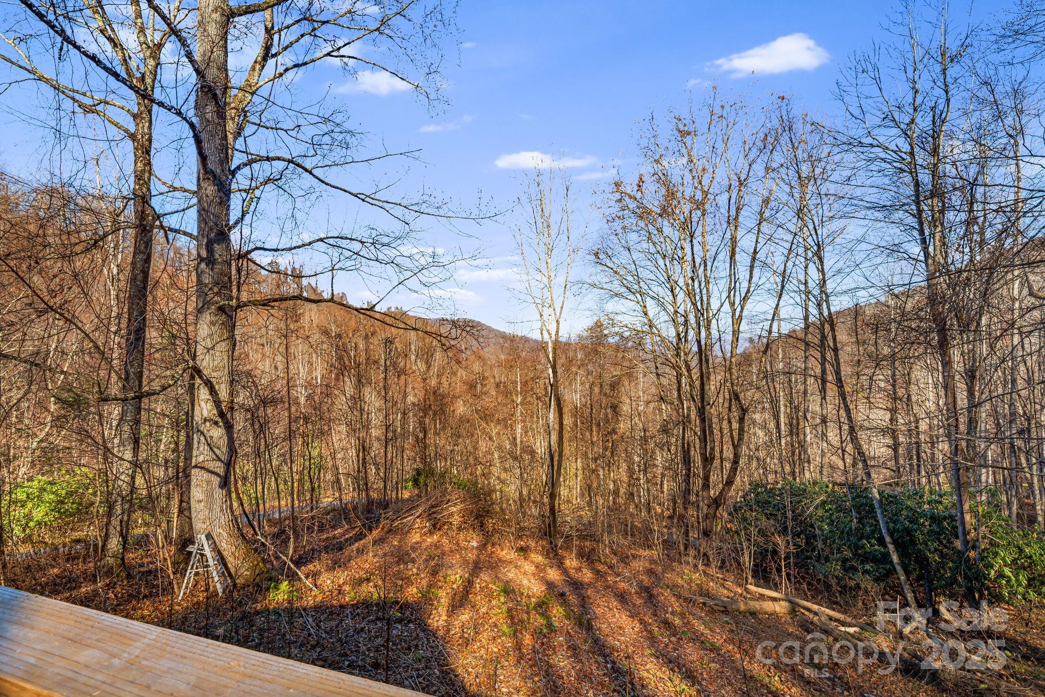 1877 Secluded Valley Road Marshall, NC 28753 - Photo 27 of 31 a view of outdoor space and street view