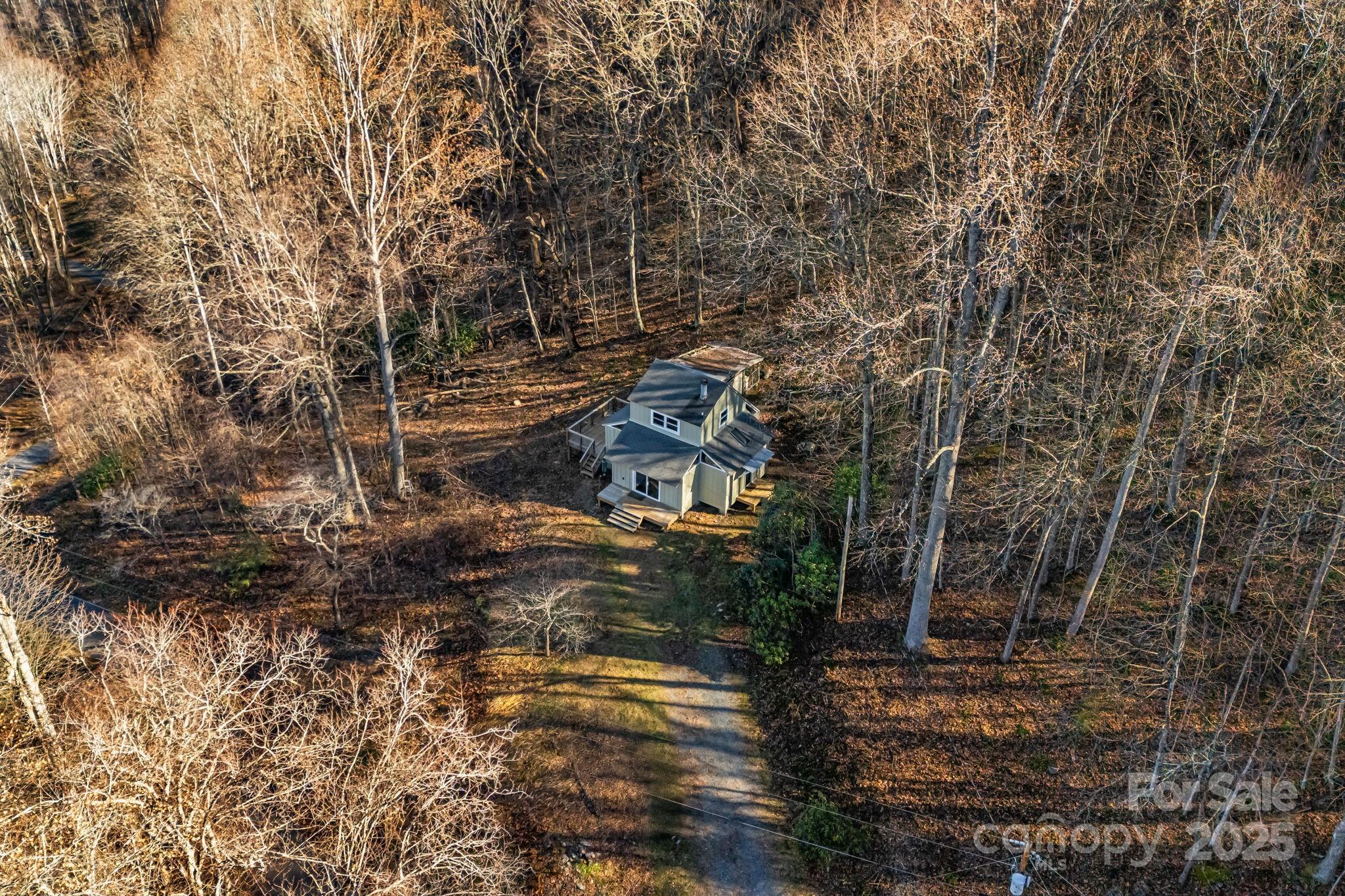1877 Secluded Valley Road Marshall, NC 28753 - Photo 29 of 31 a view of a yard with plants and trees
