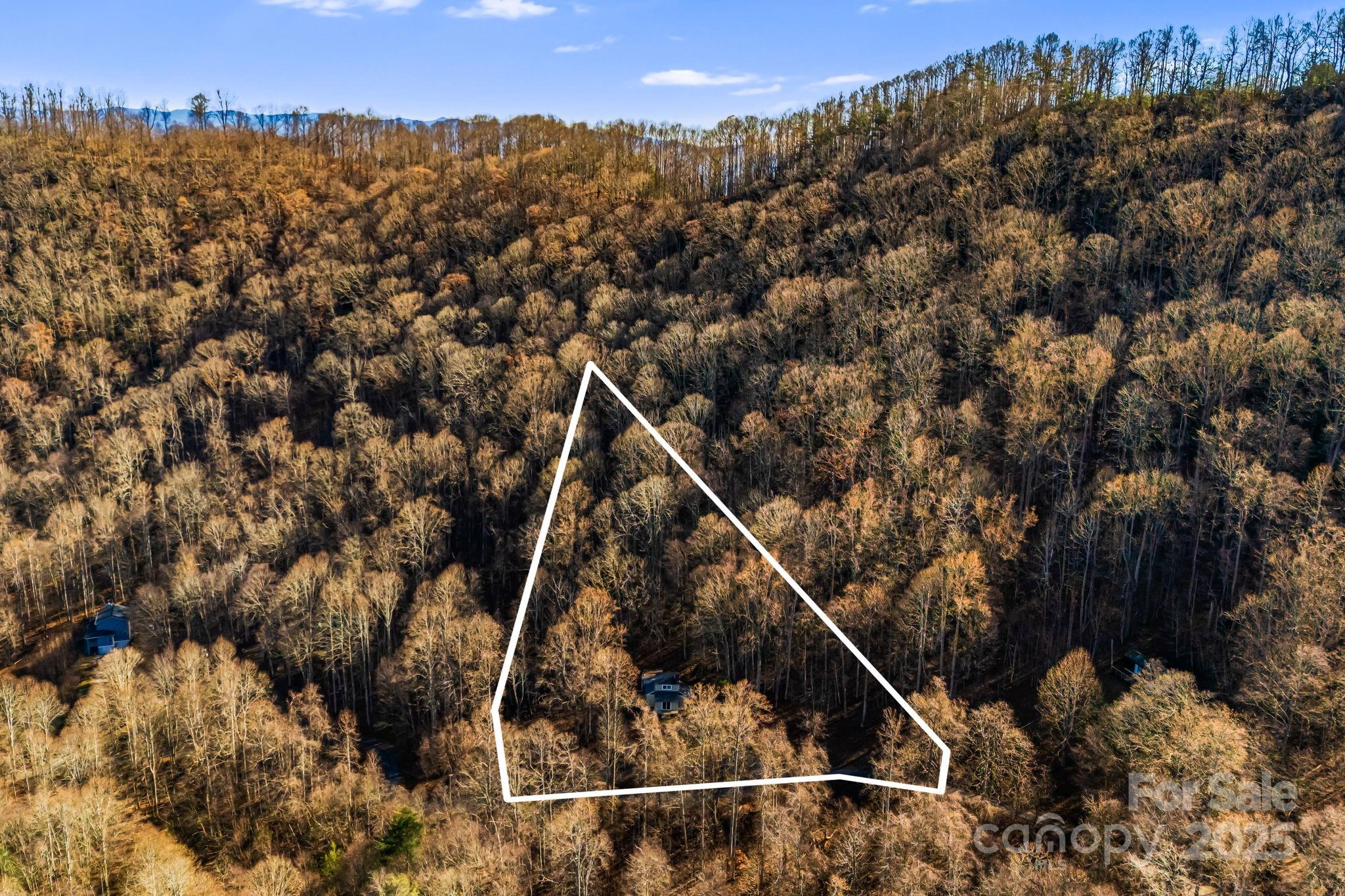 1877 Secluded Valley Road Marshall, NC 28753 - Photo 31 of 31 a view of a house with a forest