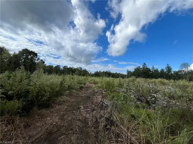 $1,500,000 | 11630 Highway 158, Reidsville, NC 27320