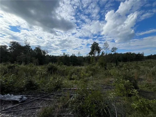 $1,500,000 | 11630 Highway 158, Reidsville, NC 27320