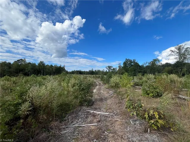 $1,500,000 | 11630 Highway 158, Reidsville, NC 27320