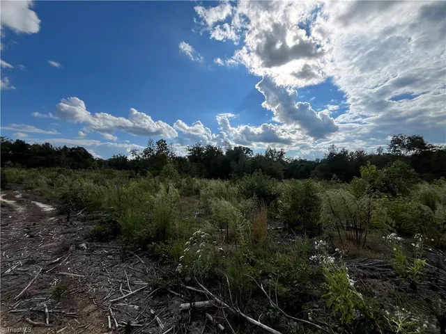 $1,500,000 | 11630 Highway 158, Reidsville, NC 27320