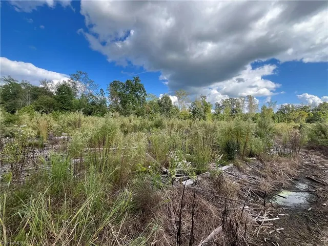 $1,500,000 | 11630 Highway 158, Reidsville, NC 27320